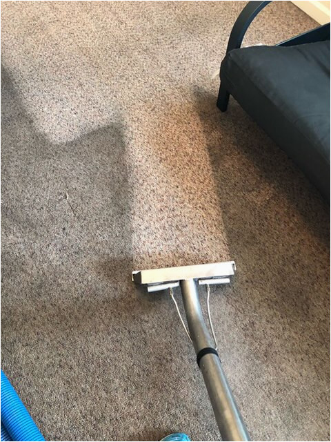 Area Rug Cleaning Charleston Sc Sapphire Services Carpet Cleaning and Disaster Services Daniel …
