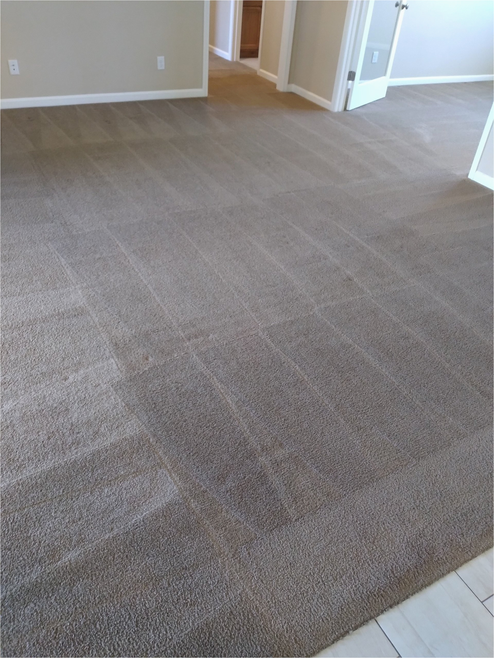Area Rug Cleaning Chico Ca Carpet Cleaning Services Chico, Ca Bio Kleen Carpet and …