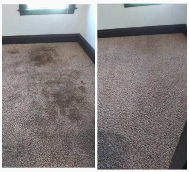 Area Rug Cleaning Chico Ca Chico Ca â Tarantino Carpet Cleaning