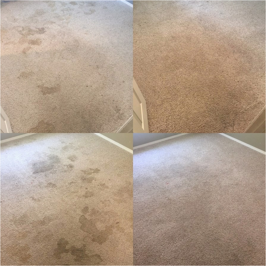 Area Rug Cleaning Fayetteville Ar before and after Carpet Cleaning Results! Fayetteville Ar
