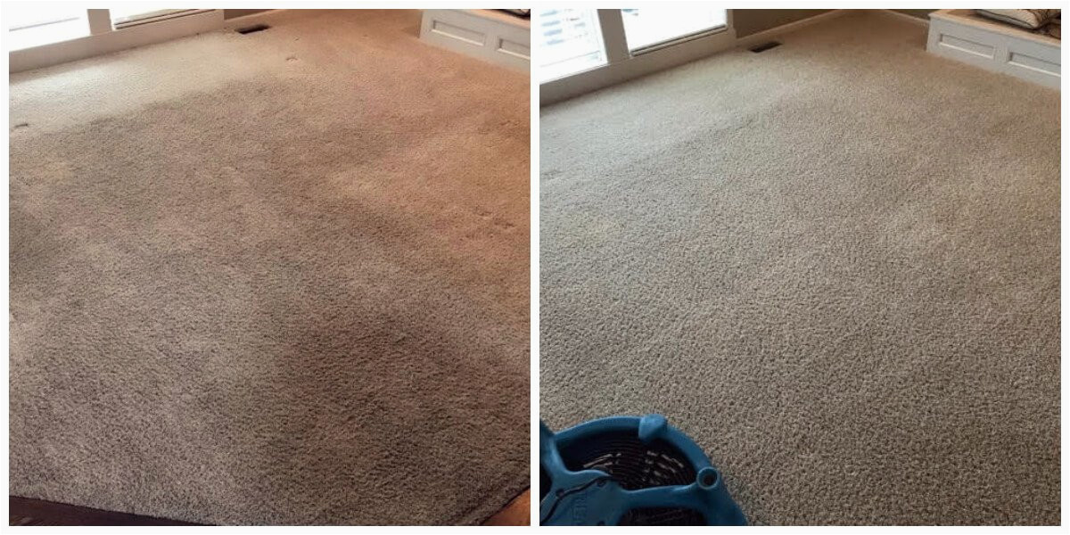 Area Rug Cleaning Kansas City before & after Carpet Cleaning Mcgeorge Brothers Chem-dry