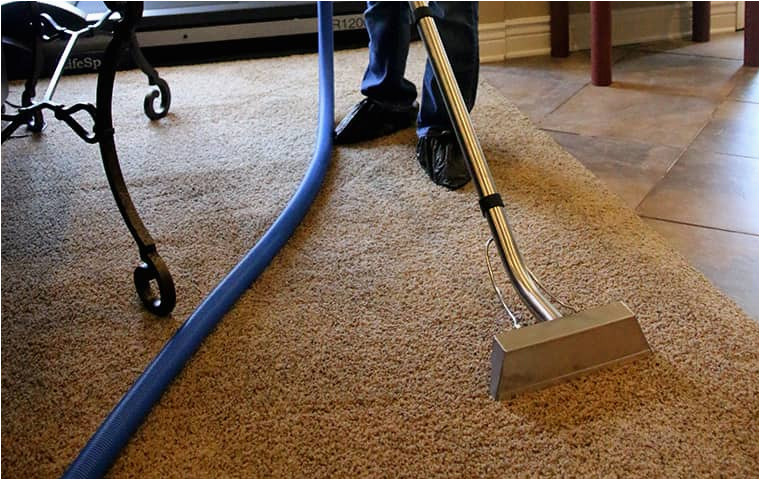 Area Rug Cleaning Kansas City Professional Carpet Cleaning for Kansas City Homes & Businesses