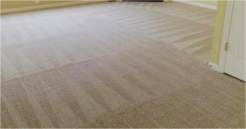 Area Rug Cleaning Portland or Carpet Cleaning Portland or – Nicholas Carpet Care Llc