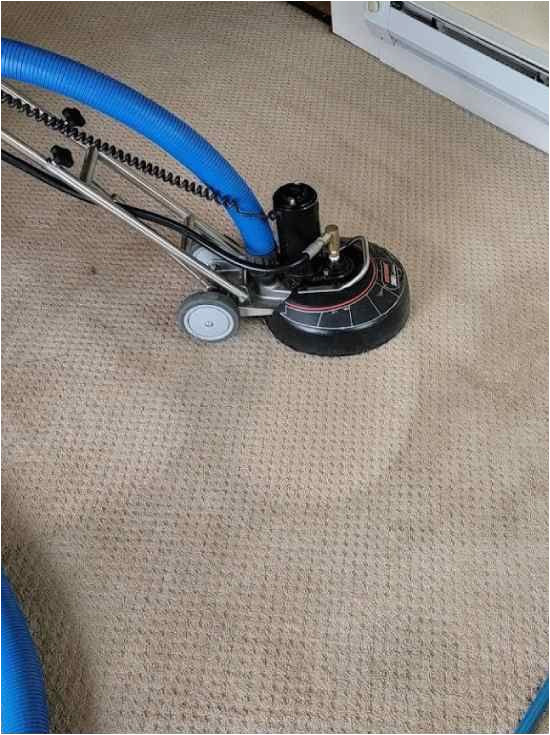 Area Rug Cleaning Vancouver Wa 1 Carpet Cleaning Services In Vancouver, Wa