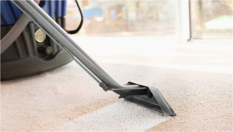 Average Cost to Clean area Rug How Often Should You Clean Your Carpets? Certified Clean Care