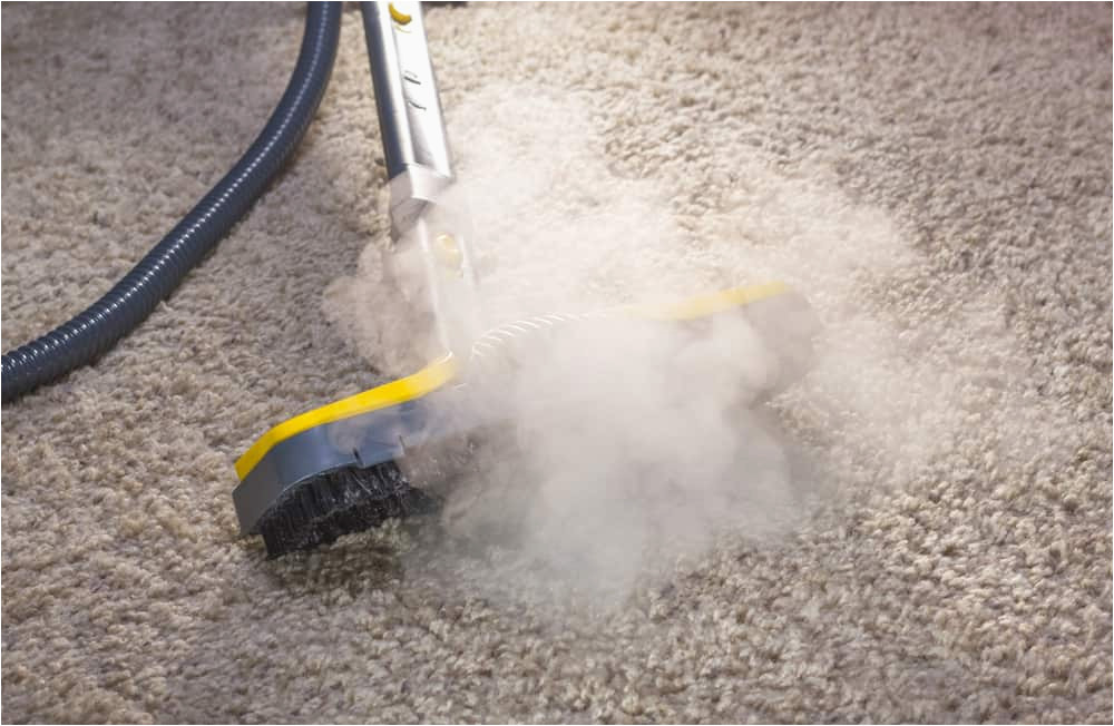 Can area Rugs Be Steam Cleaned How to Clean Your Carpet with A Steam Mop (7 Easy Steps!)