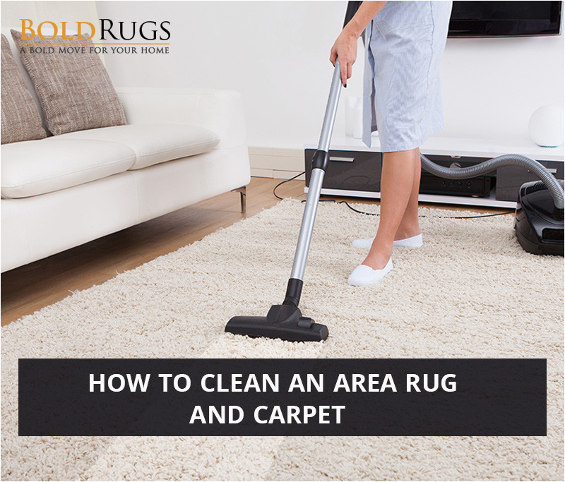 Can I Use A Carpet Cleaner On An area Rug How to Clean An area Rug and Carpet – Bold Rugs