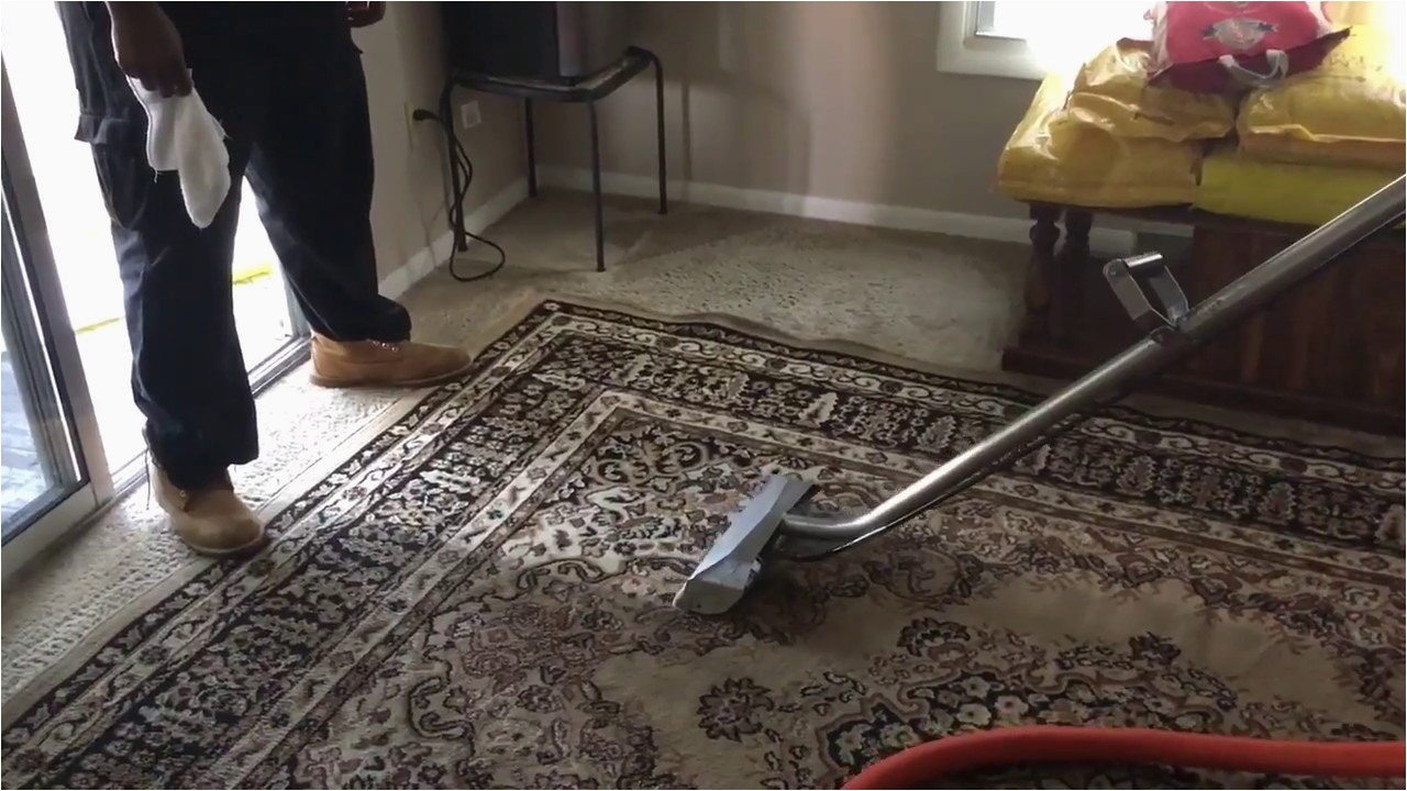 Can You Steam Clean An area Rug Steam Cleaning area Rugs