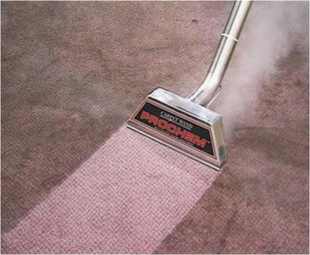 Can You Steam Clean Wool area Rugs How to Clean Wool Carpet Full Step by Step Guide