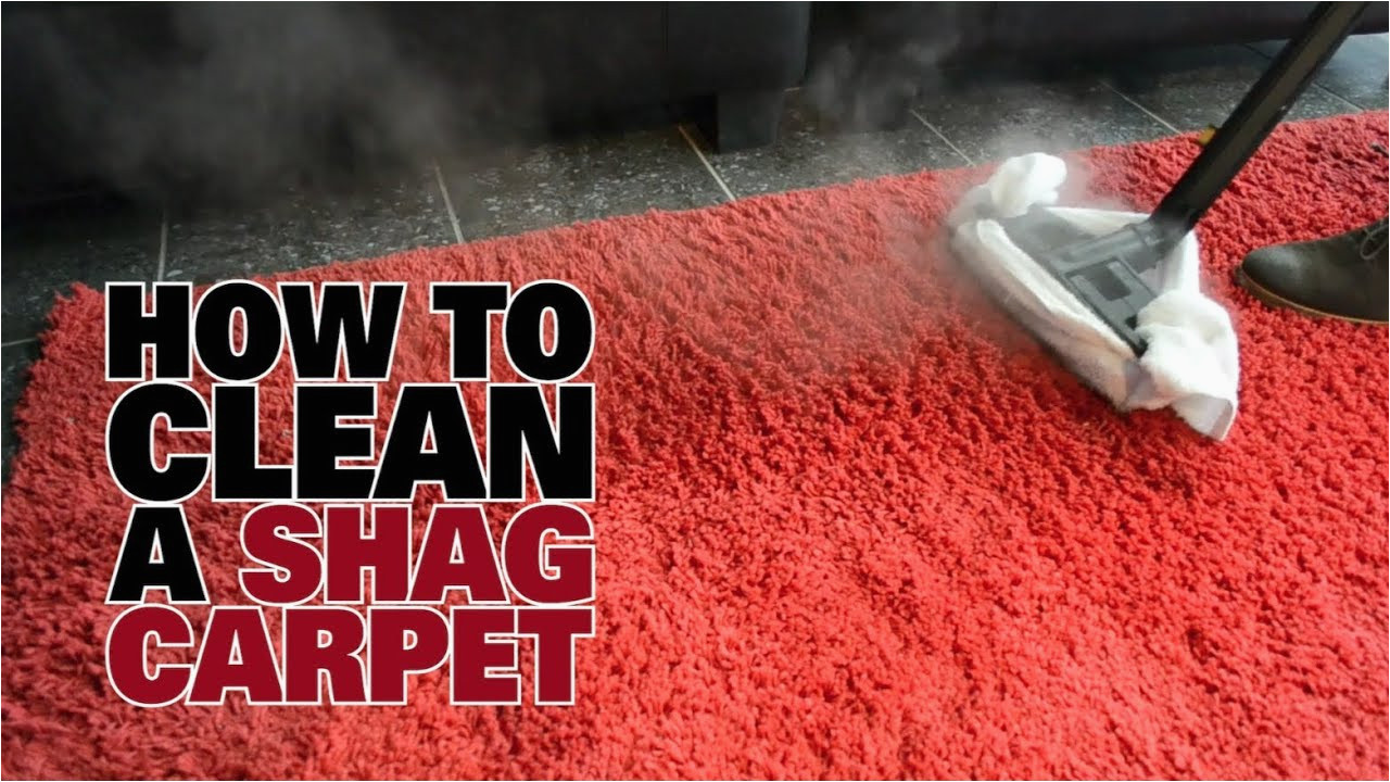 Clean area Rug with Steam Cleaner How to Steam Clean A Shag Carpet – Dupray