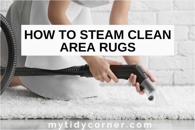 Clean area Rug with Steam Cleaner How to Steam Clean area Rugs – Diy Step-by-step Guide