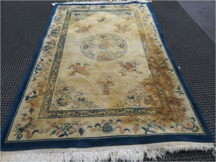 Clean Pet Urine From area Rug Pet Urine In Your area Rug oriental Rug Cleaning Facility