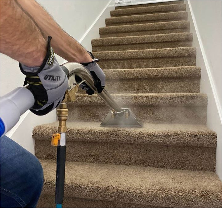 Companies that Clean area Rugs Near Me Best Professional Carpet Cleaning Companies