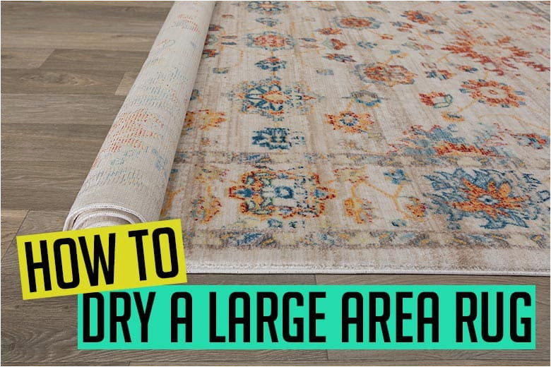 Dry Clean area Rug Near Me How to Dry A Large area Rug [step by Step Guide]