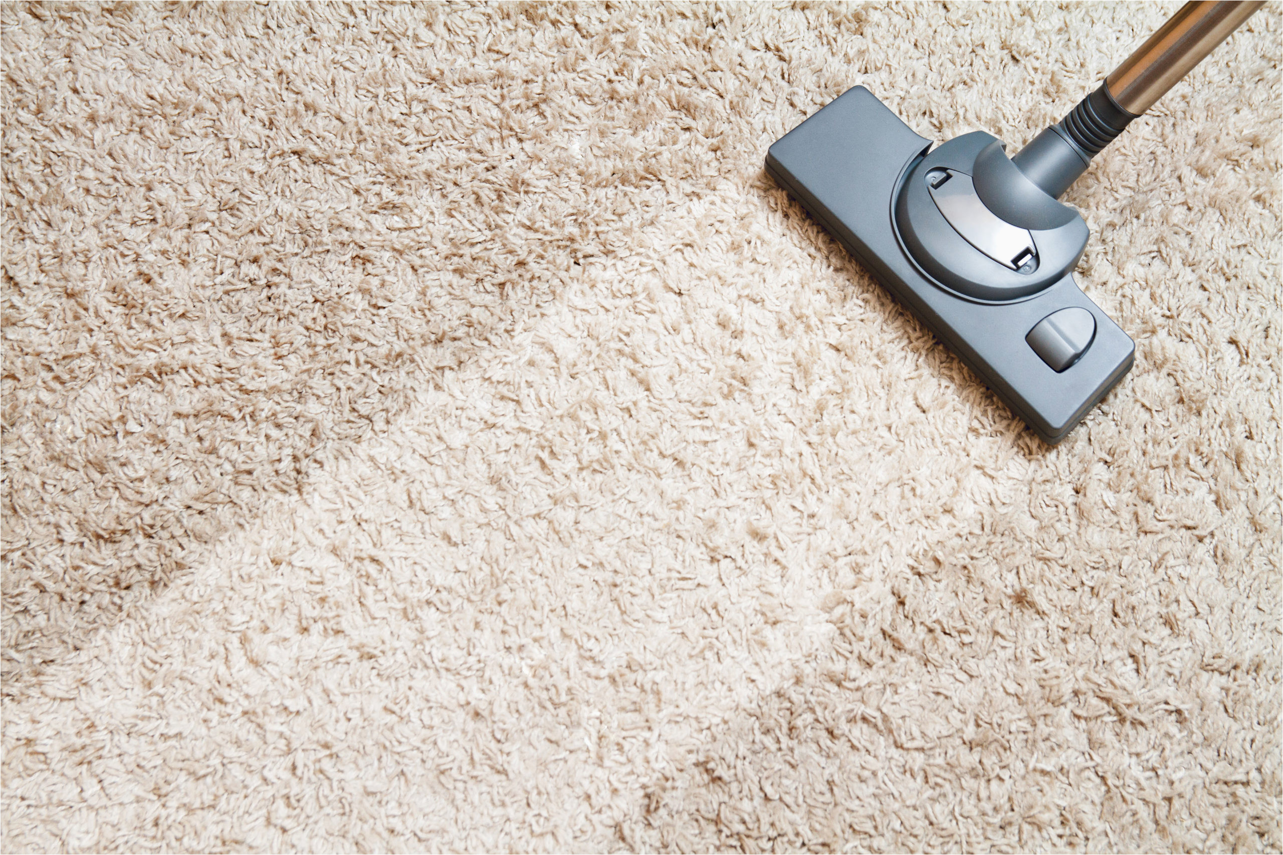 Dry Clean area Rug Near Me What is the Average Cost Of Carpet Cleaning In Sterling, Va …