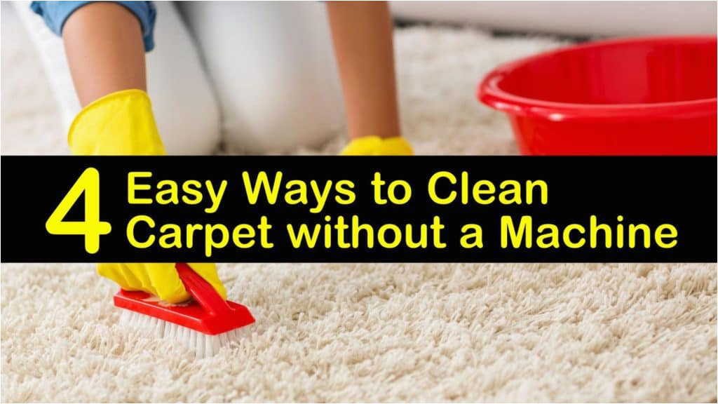 Easy Way to Clean area Rug 4 Easy Ways to Clean Carpet without A Machine