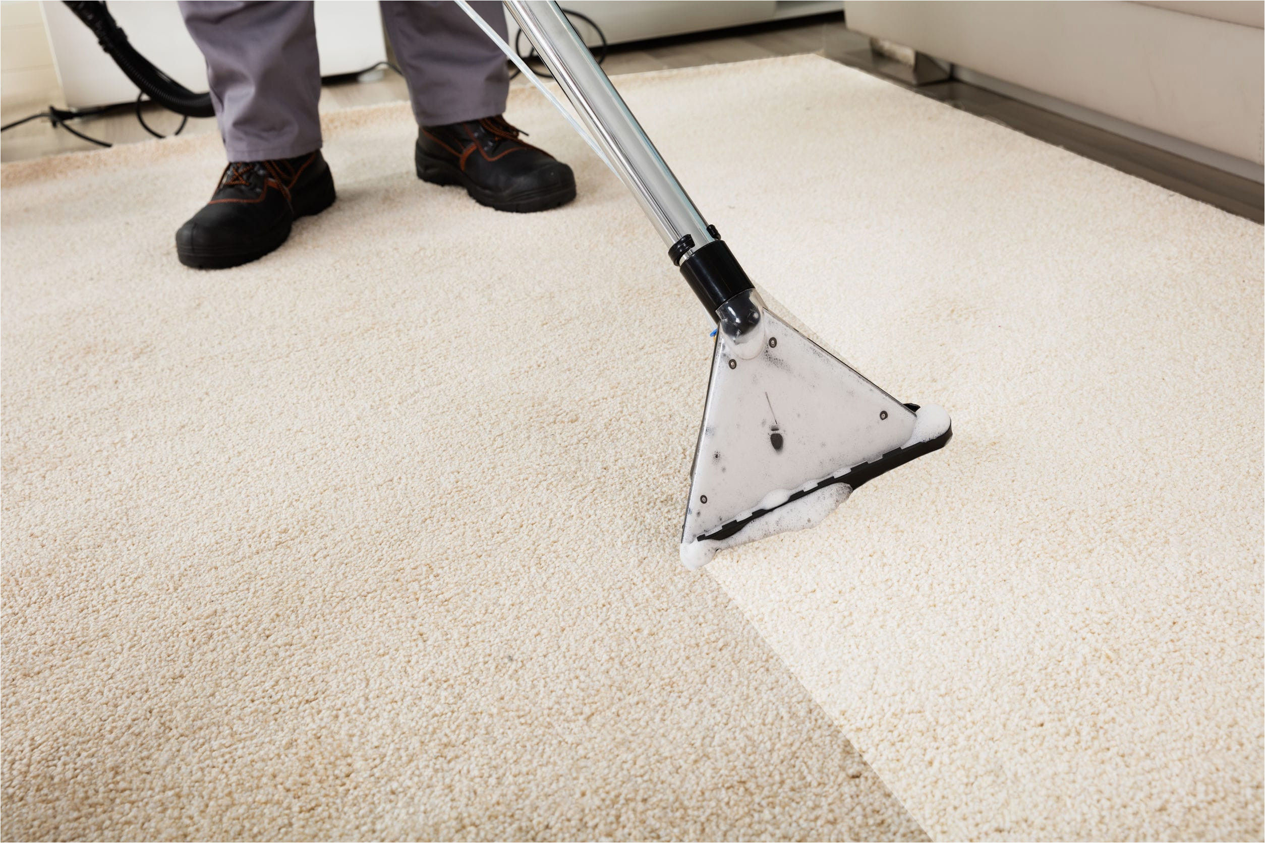 Places that Clean area Rugs Near Me top 5 Carpet Cleaning Tips End Of Tenancy Cleaning Near Me Blog