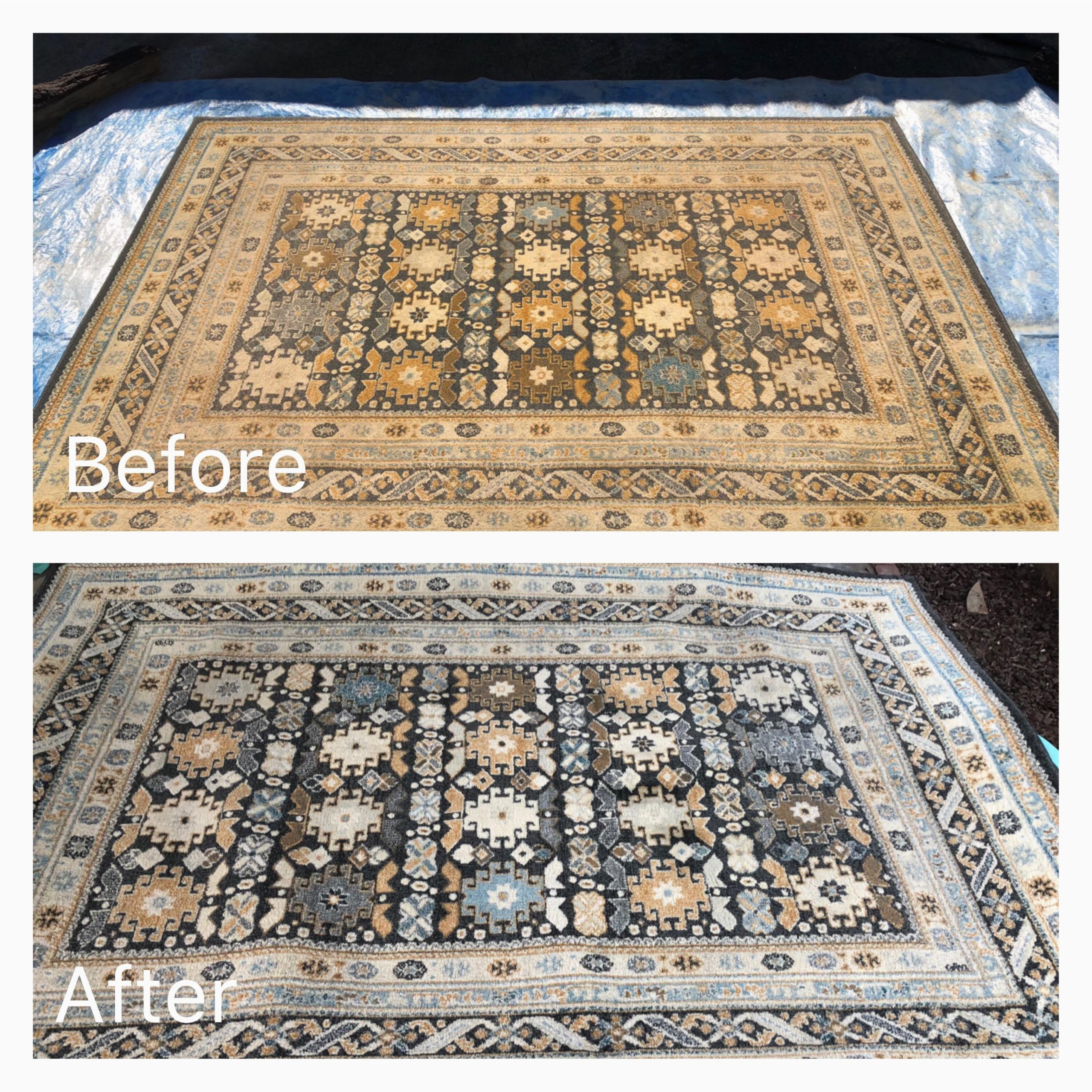 Pressure Washing An area Rug Power Washing Our Living Room Rug that Our Dusty/dirty Dogs Love …