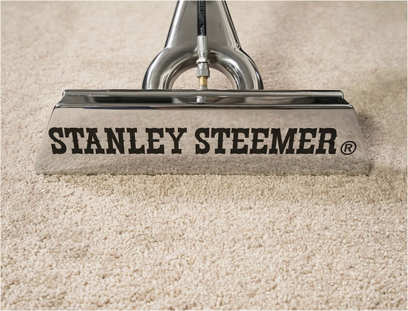 Stanley Steemer area Rug Cleaner Home & Business Professional Floor Cleaning Services Stanley Steemer