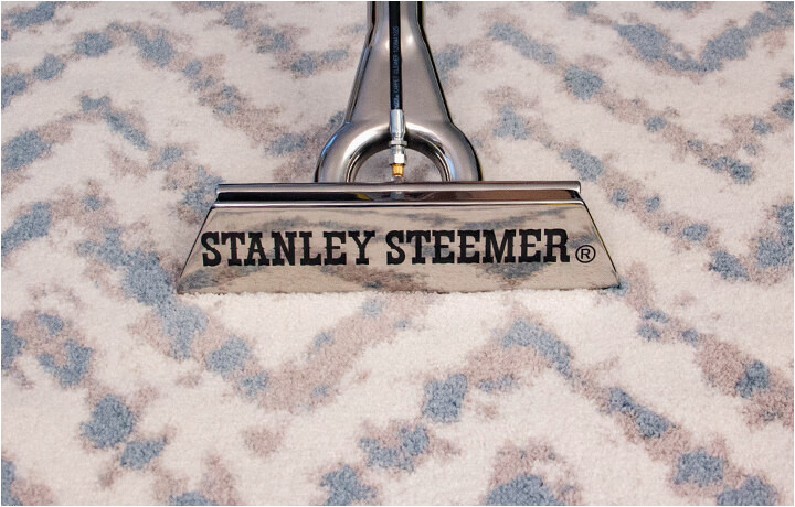 Stanley Steemer area Rug Cleaner Specialized Off-site Rug Cleaning