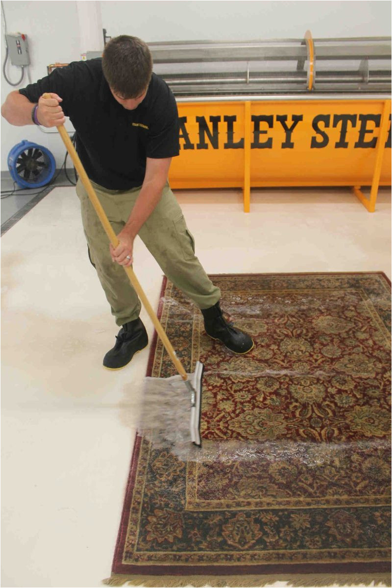 Stanley Steemer area Rug Cleaner Stanley Steemer Safely Cleans area Rugs