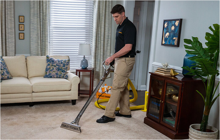 Stanley Steemer area Rug Cleaning Moving Cleaning Services Stanley Steemer
