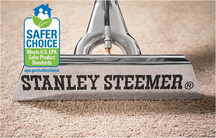Stanley Steemer area Rug Cleaning Safer Cleaning Stanley Steemer