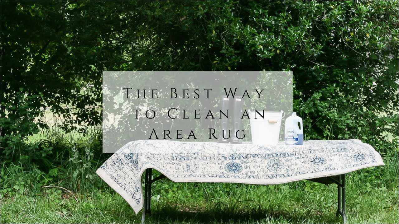 The Best Way to Clean An area Rug the Best Way to Clean An area Rug