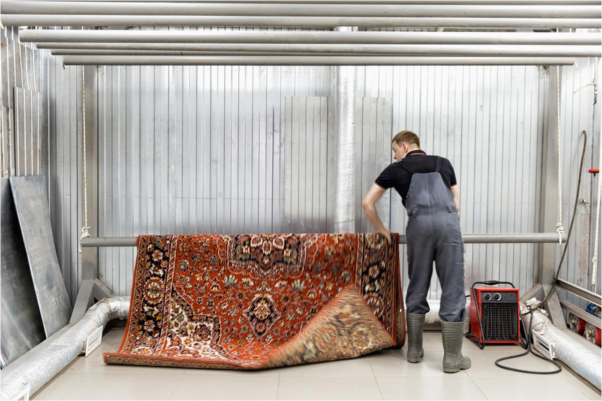 Wool area Rug Cleaning Cost 2022 Rug Cleaning Costs Professional area Rug Cleaning Prices