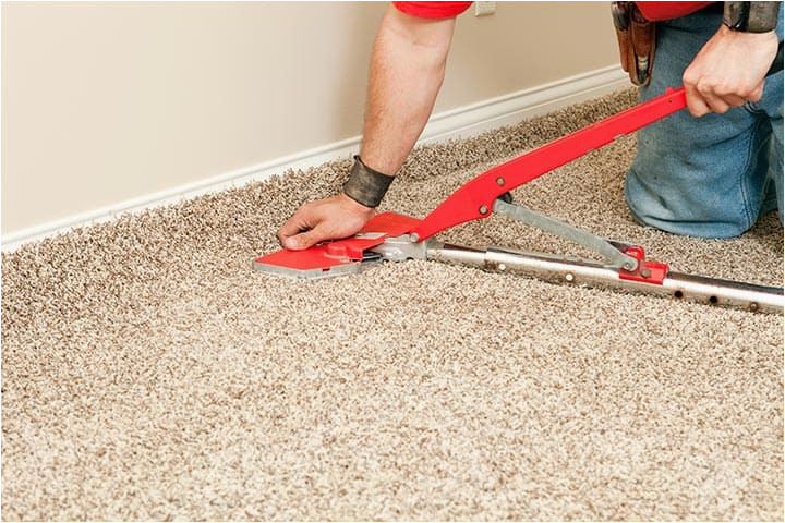 Area Rug Cleaning Cary Nc Carpet Cleaning Cary Local Carpet Cleaner Near Me Nc