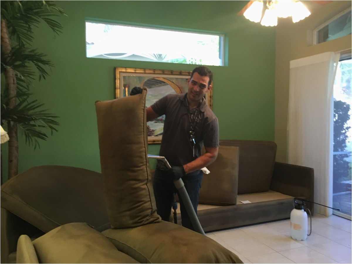 Area Rug Cleaning Coral Springs Carpet Cleaning & Upholstery Cleaning Coral Springs Fl Prime …