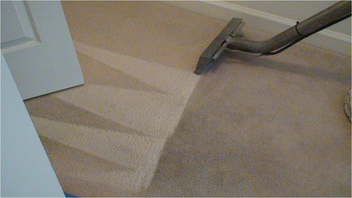 Area Rug Cleaning Coral Springs Prime Steamers – Carpet Cleaning Coral Springs Fl 954-496-2289 …