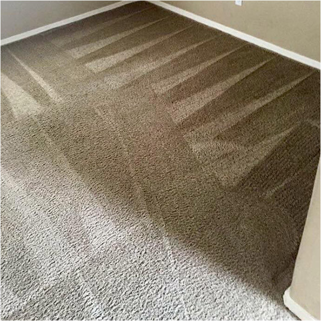 Area Rug Cleaning Katy Tx 1 for Carpet Cleaning In Katy, Tx with Over 2400 5-star Reviews!