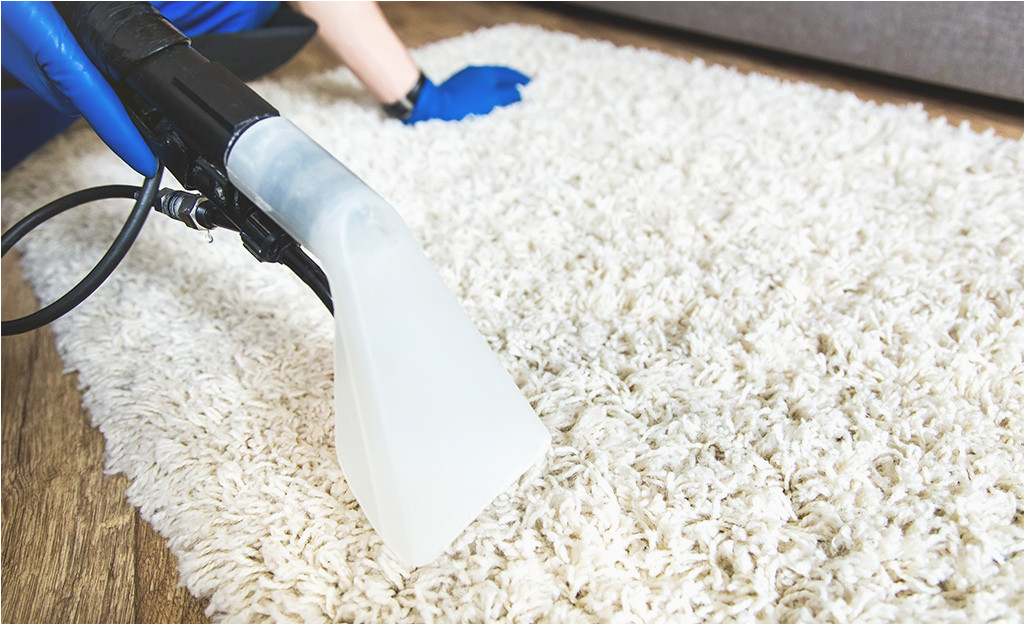 Can You Use Carpet Cleaner On area Rug How to Clean A Shag Rug – the Home Depot