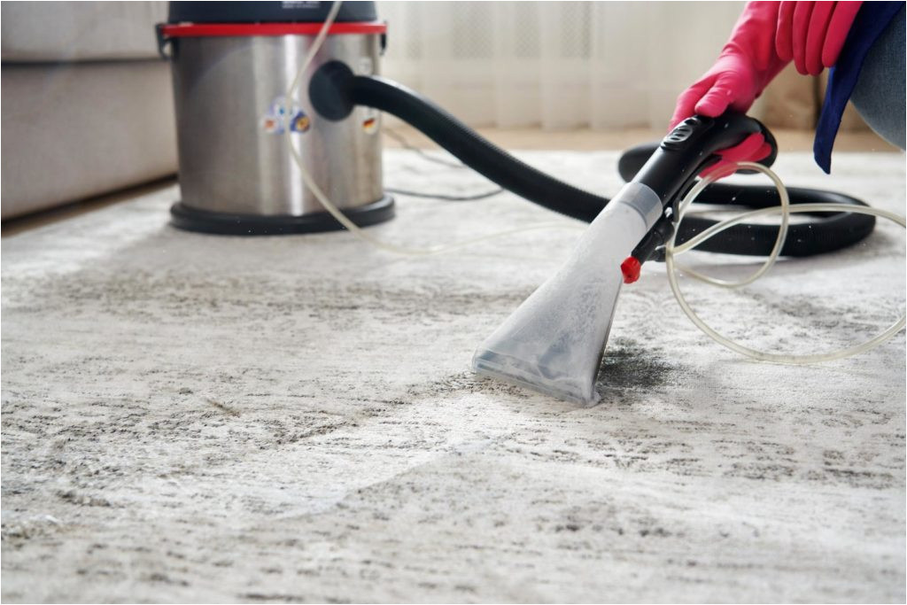 Home Depot area Rug Cleaning How Does Home Depot Carpet Cleaner Rental Work? – Aisleofshame.com