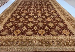 10 X 17 area Rugs One-of-a-kind Hand-knotted 11â²10â³ X 17â²2â³ area Rug In Brown/gold