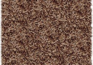 12 Foot Round area Rugs Amazon Shaw Super Shag area Rug Bling Collection