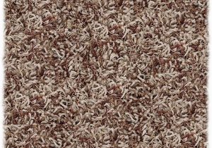 12 Foot Round area Rugs Amazon Shaw Super Shag area Rug Bling Collection Tweed