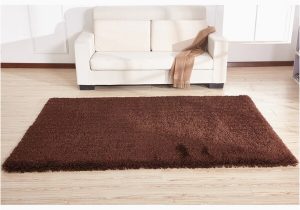 2 Inch Pile area Rug Shop 2 Inch Thickness Pile Hand Tufted solid Brown Shag