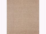 6ft by 8ft area Rug assorted 6 Ft. X 8 Ft. Textured area Rug