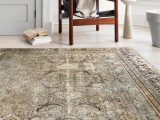 Alexander Home isabelle Traditional Vintage Border Printed area Rug Alexander Home isabelle Olive tone oriental Pattern Printed area …