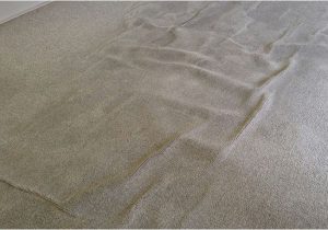 Area Rug Buckled after Cleaning What Caused My Carpets to Buckle and Wrinkle? Certified Clean Care