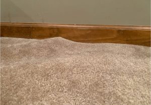 Area Rug Buckled after Cleaning What Causes Carpet to Buckle or Ripple? All-round Cleaning …