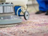 Area Rug Carpet Cleaning Services area Rug Cleaning Services asheville L All Rugs L Five Step Carpet …