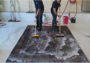 Area Rug Cleaners In My area Cleaning 101: How to Clean An area Rug – Shiny Carpet Cleaning