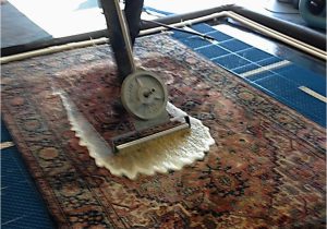 Area Rug Cleaners In My area Home