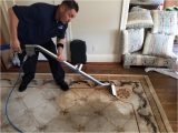 Area Rug Cleaners In My area San Francisco area Rug Cleaning north American Chem-dry