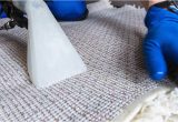 Area Rug Cleaning and Repair Near Me area Rug Cleaning orlando oriental Rug Cleaning Rug Cleaning …