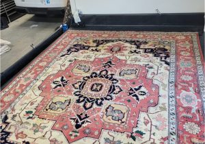 Area Rug Cleaning and Repair Near Me Professional area Rug Cleaning: What You Need to Know