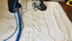 Area Rug Cleaning Augusta Ga area Rug Cleaning In Augusta, Ga – Universal Carpet Cleaning